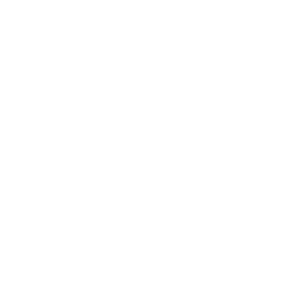 portland trailblazers